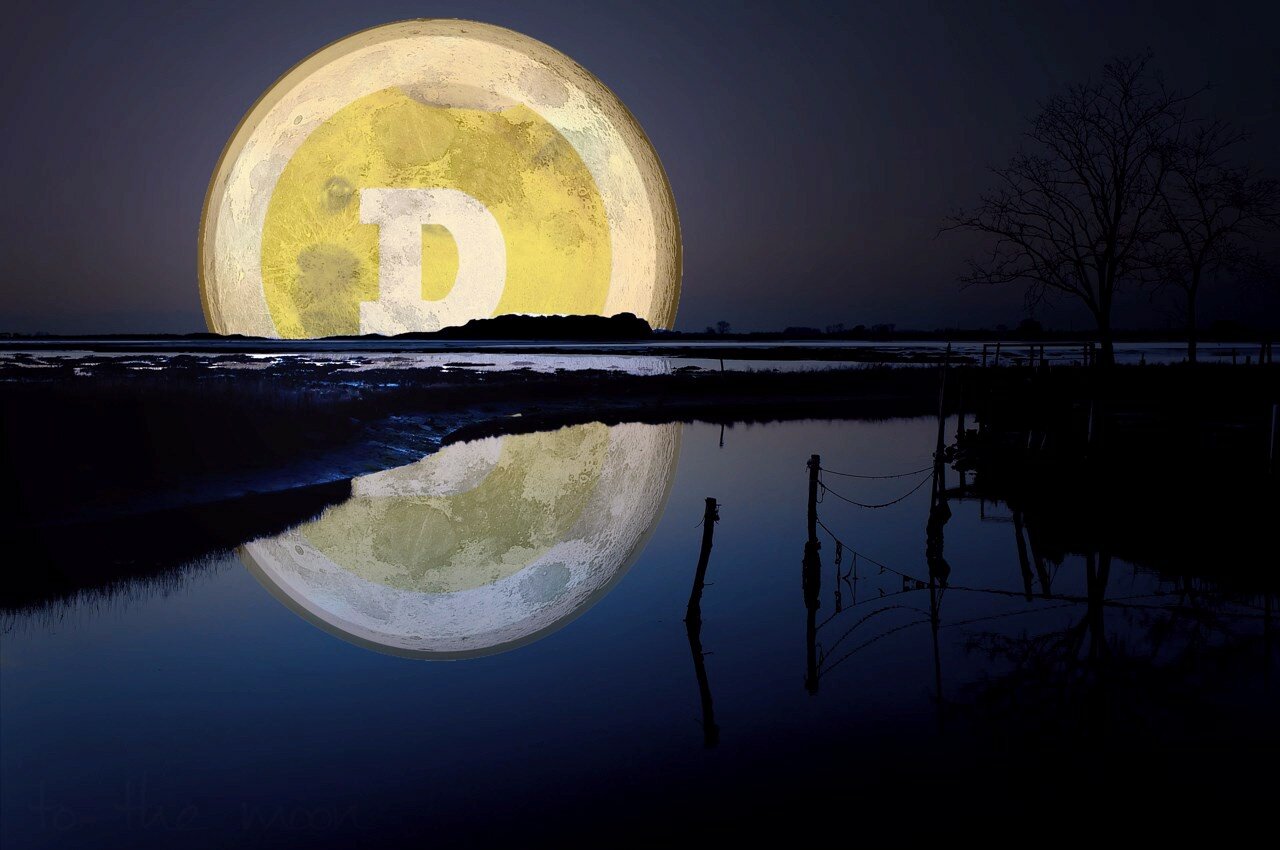 dogecoin_crypto_logo_18